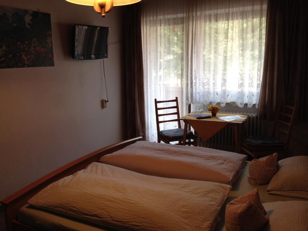 Gasthaus Pension Sternknockel Bodenmais Cameră foto