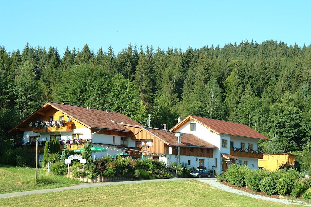 Gasthaus Pension Sternknockel Bodenmais Exterior foto