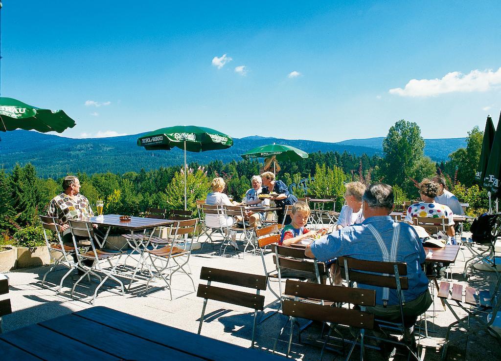 Gasthaus Pension Sternknockel Bodenmais Exterior foto